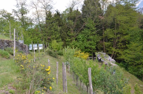 Sentiero storico\naturalistico Torre dei Sicconi